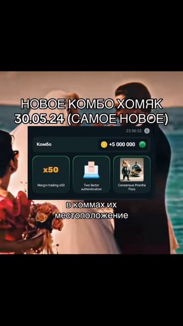 КОМБО ХОМЯК 30.05.24 #хомяк #рек #hamsterkombat #крипта #ноткоин #notcoin #blum #блум смотреть онлайн