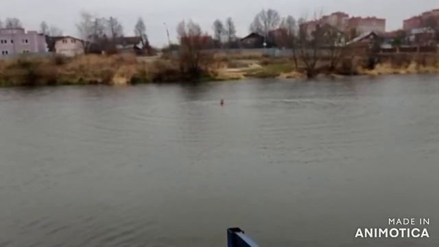 Перед чёрной пятницей смотреть онлайн