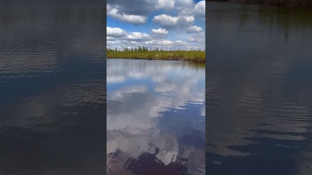 Щука на 10 кг в Туруханском районе | Рыбалка с женой ツ смотреть онлайн