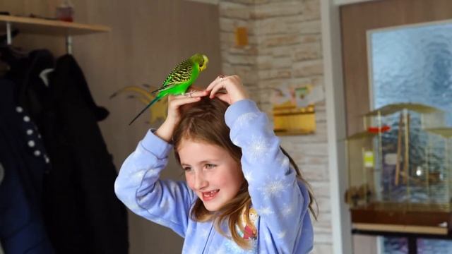 Новинки смотреть онлайн