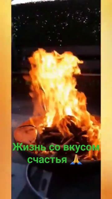 Цитата дня 🙏 продолжение в комментариях. #цитаты #жизньсовкусомсчастья #семья #еда #природа #foryou смотреть онлайн