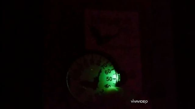 Bat detection video! See description for details 🦇 смотреть онлайн