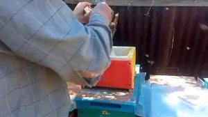 очередное заселение миниплюса по нашей технологии, нашей конструкции