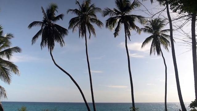 Relax Music Beachside | Chill Music| Peaceful Music
