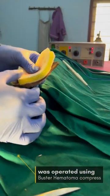 Aural hematoma operation using Buster Haematoma compress @lykapetclinicdindigul смотреть онлайн