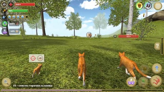 Angry Cat - Симулятор Кота и Кошки смотреть онлайн