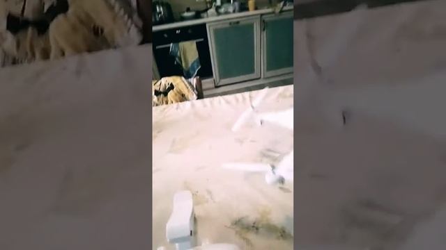 Сима зэ три смотреть онлайн