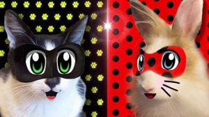 для Анука давайка