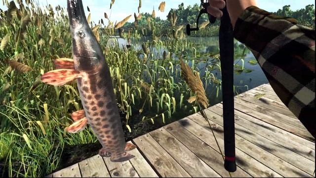 Флоридський Панцирник Fishing Planet (Еверглейдс) #19 смотреть онлайн