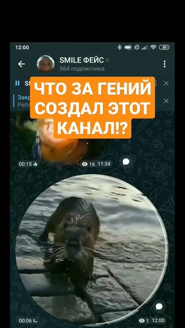 БОБЕР ЙО ПЕРДОЛЕ #бобер #классика смотреть онлайн