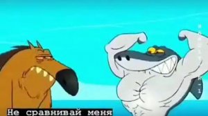 акула против акулы