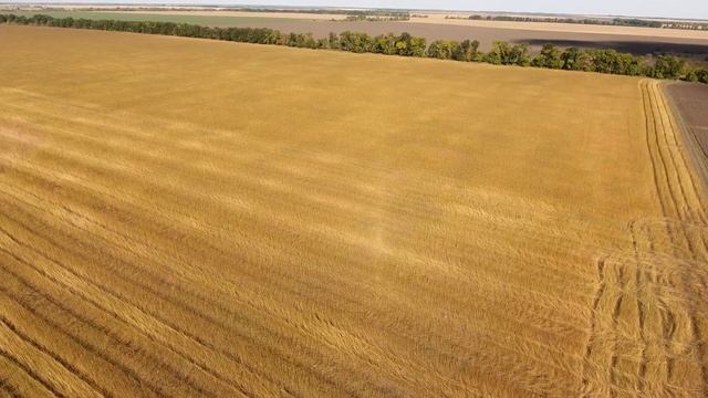 Обмолот конопель John Deere WTS 9660 + Слов'янка УАС 7 смотреть онлайн