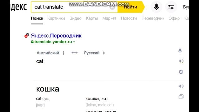 translate meme cat in Russia смотреть онлайн