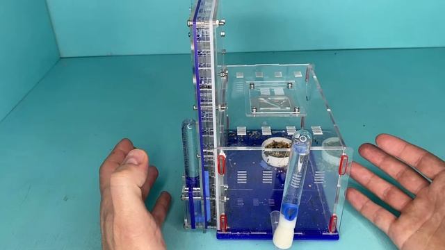 Минусы вертикального формикария с Алиэкспресс смотреть онлайн