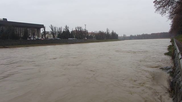 Потоки Ужа в умовах штормового попередження. Ужгород, 03.02.2018 р. смотреть онлайн