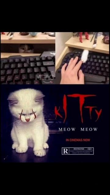 Кити, скоро в кино. смотреть онлайн