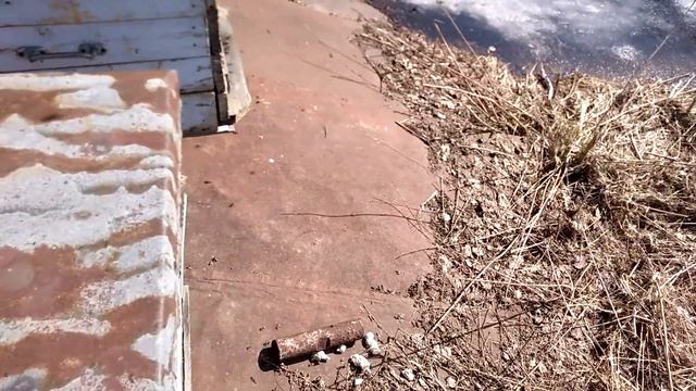 Первая пыльца в Подмосковье смотреть онлайн
