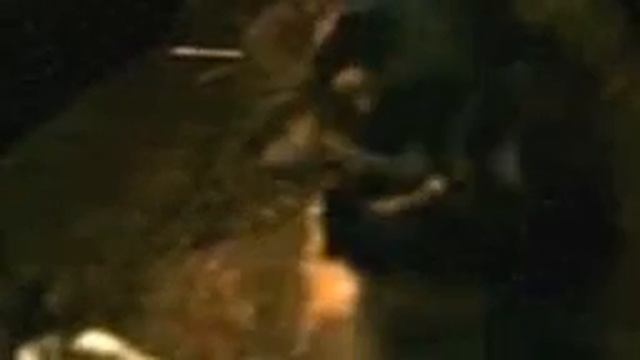 Дружба между котом и собакой! смотреть онлайн