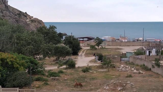 На набережной Чёрного моря в Судаке гуляет лошадь смотреть онлайн