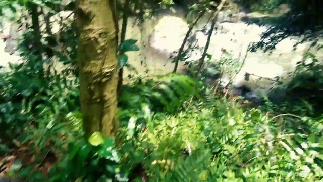 PUBLIC HIDDEN SHOWER