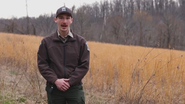 Learn All About the Pennsylvania Firefly! смотреть онлайн