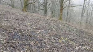 Открыл сезон 2025года коп по старине