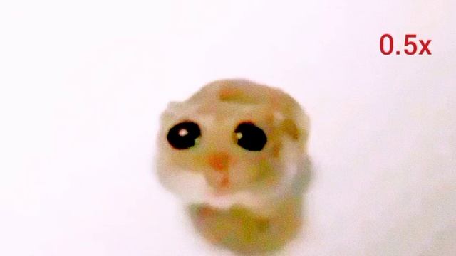 Грустный Хомяк 🐹😢 || Все Скорости смотреть онлайн