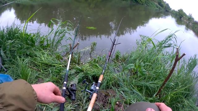 Рибалка фідером на річці Стир . Рибалка в екстримальних умовах . смотреть онлайн