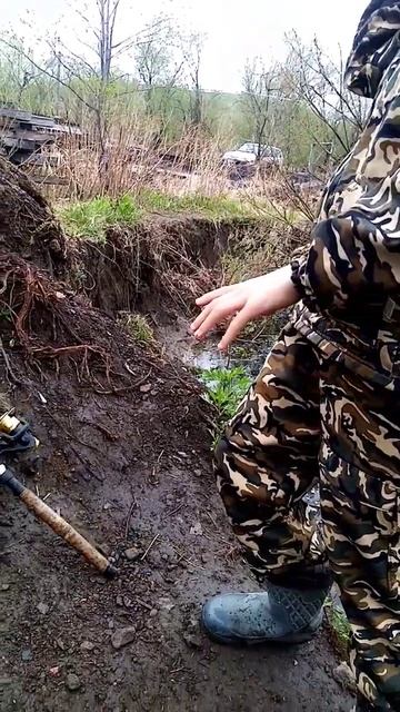 Ловля Краснопёрки Угая на червя #рыбак #сахалин #рыбалка #fishing смотреть онлайн