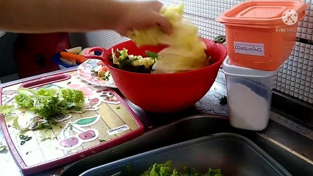 Almoço completo de domingo 😃 смотреть онлайн