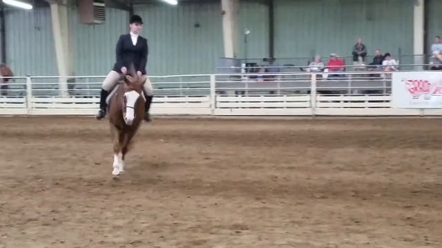 Sydney beesley and (mr. Big Romance) champion English equatation pattern at the Kansas state fair смотреть онлайн