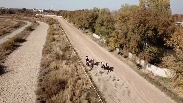 Скачка № 6 Приз «Ulttyq Qazyna» на кобылах 3-х лет чистокровной верховой породы 17 10 2020 6 смотреть онлайн