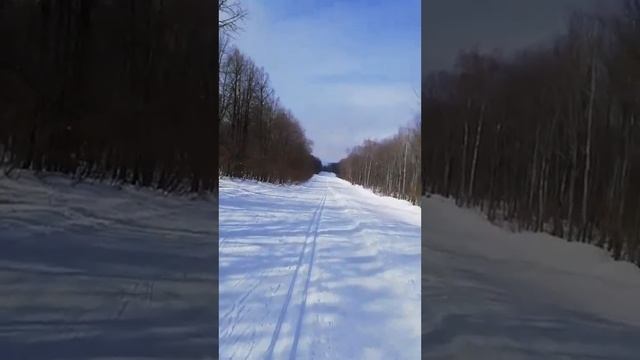 #чайка#самара#лыжи#лес#март2019 смотреть онлайн