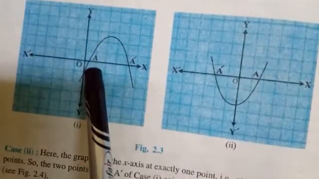 Class X// G. Maths// Chapter 2// Exercise 2.1// смотреть онлайн