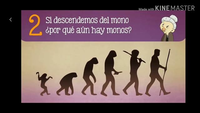 Pregunta 2-Descendemos del mono Alex смотреть онлайн