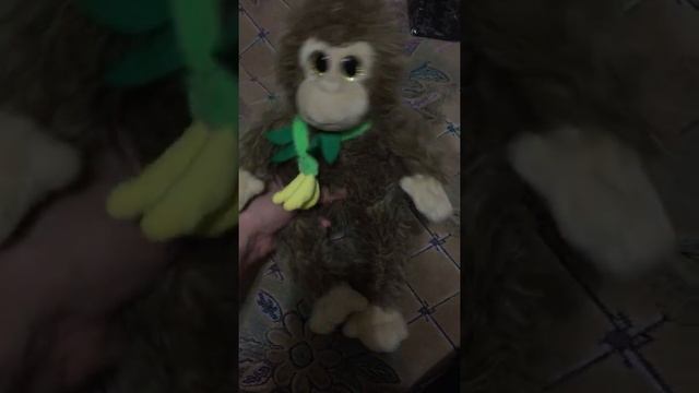 поющая мартышка смотреть онлайн