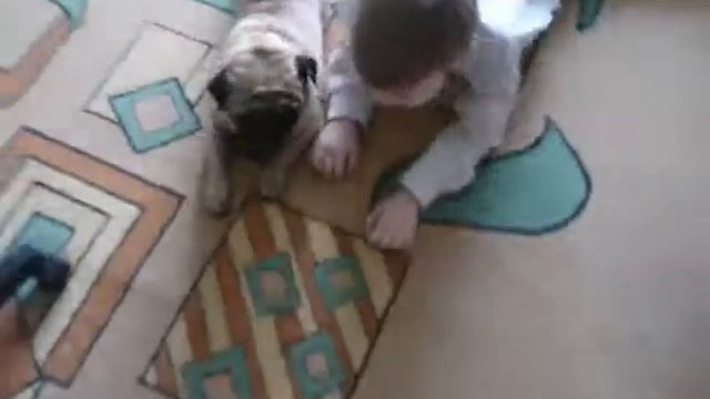 Весёлая собака смотреть онлайн
