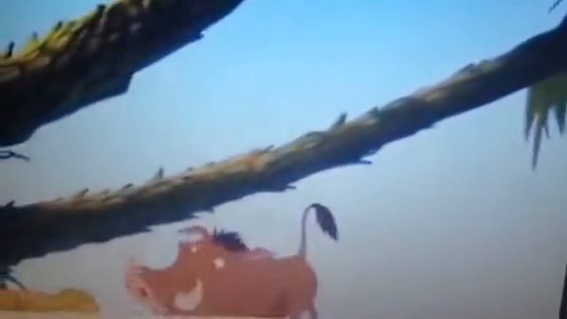 Simba meets Timon and Pumbaa🦁🐿🐗 смотреть онлайн