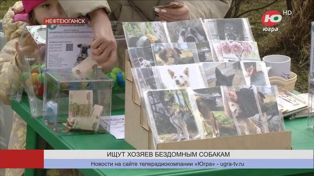 В Нефтеюганске волонтёры ищут хозяев спасённым щенкам смотреть онлайн