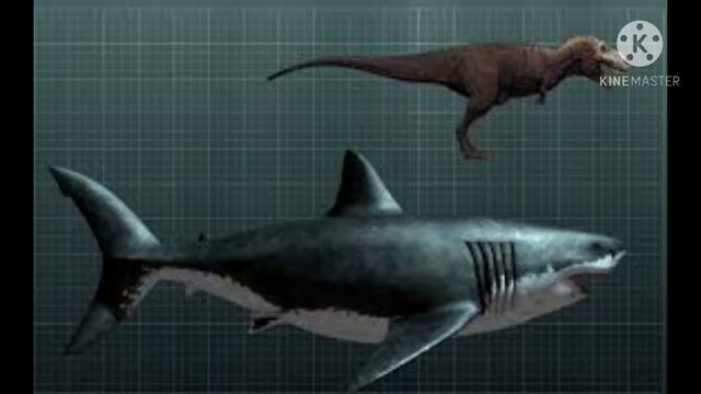 #МЕГАЛАДОН Вся правда про мегаладона