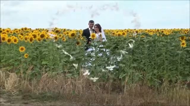 Свадьба сестрички😊 смотреть онлайн