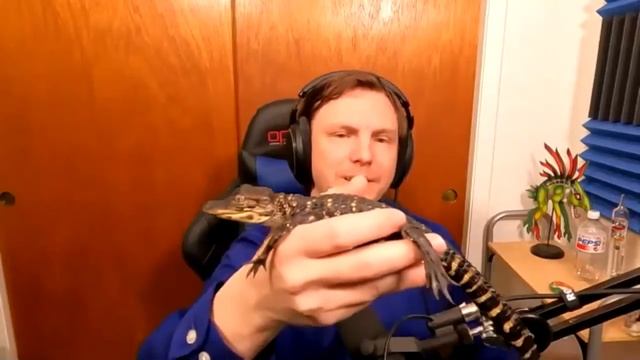 Saturday Morning Animal Adventure: Awesome Alligators смотреть онлайн