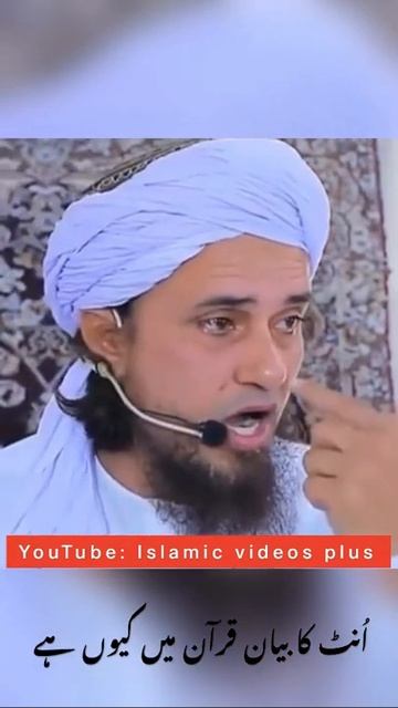 Camel In Quran: mufti Tariq Masood Status: Emotional speech: Tariq Masood short videos смотреть онлайн