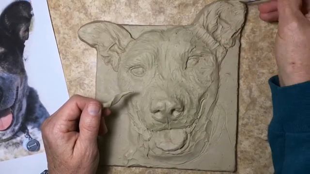How to sculpt a Australian Cattle Dog in clay | Sondra Alexanderart.net смотреть онлайн