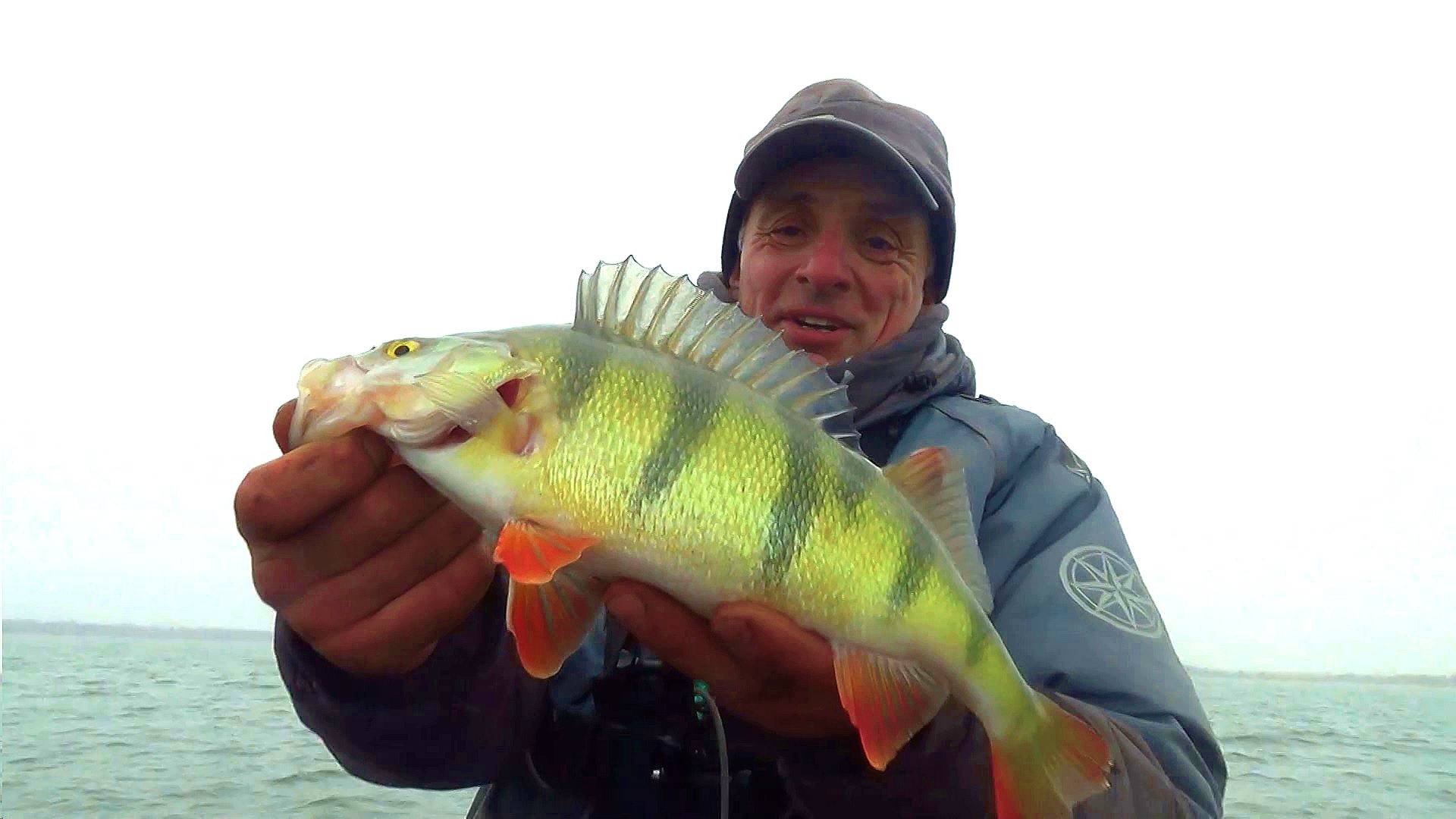 ДОЖДАЛСЯ КЛЕВА ГОРБАЧЕЙ! Зимний спиннинг смотреть онлайн