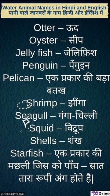 जानिए पानी वाले जानवरों के नाम हिन्दी और इंग्लिश में -Water Animal Names in Hindi and English смотреть онлайн