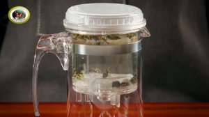 КАК ПРАВИЛЬНО ЗАВАРИВАТЬ ЧАЙ В Чайнике ГУНФУ