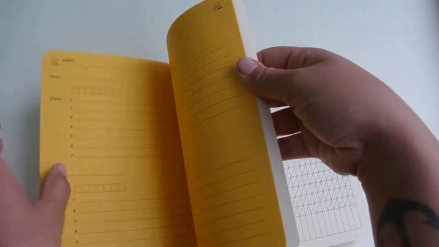 Обзор падми 242. Еженедельник для репетитора смотреть онлайн