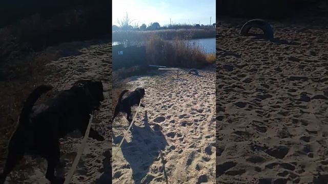 ГУЛЯЕМ ПО НОЯБРЬСКОМУ ДНЮ смотреть онлайн