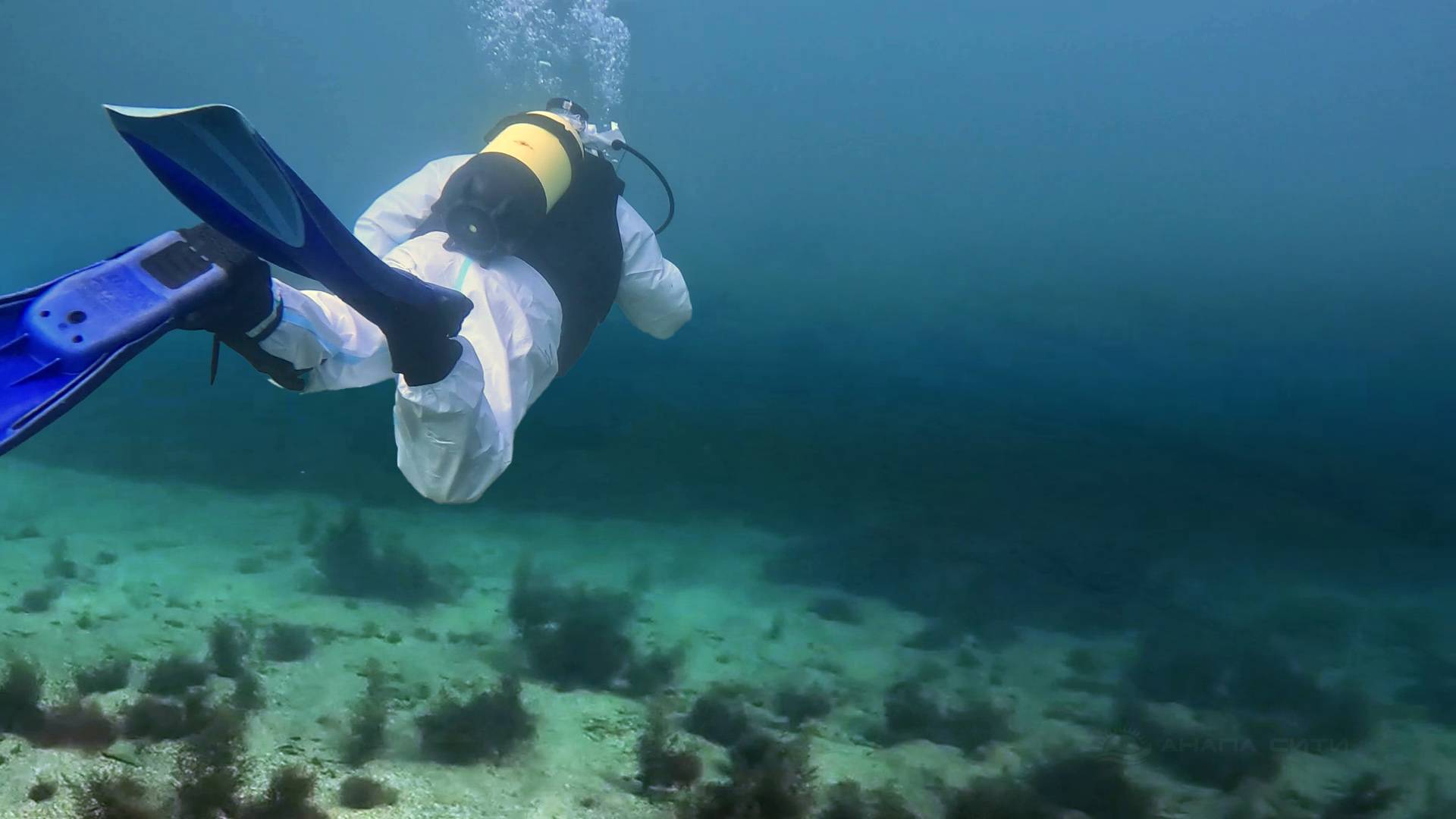 Анапа. На дне моря мазута не обнаружено смотреть онлайн